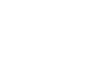 Defenders of Zion